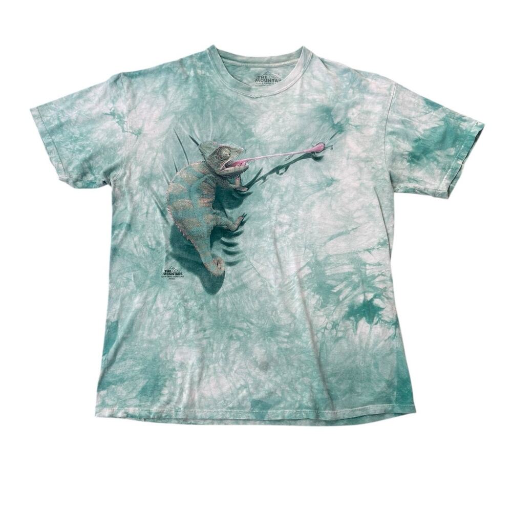 The Mountain Climbing Chameleon Tee XL Distressed Tie-dye Hippie Oversized